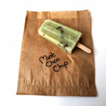 ice lolly bag