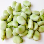 broad beans 2