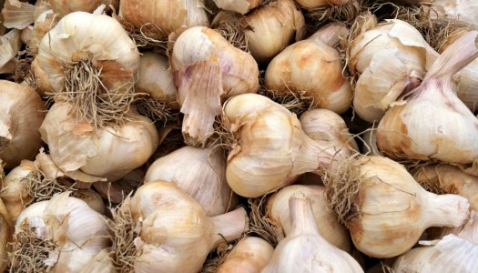 Boost the power of garlic