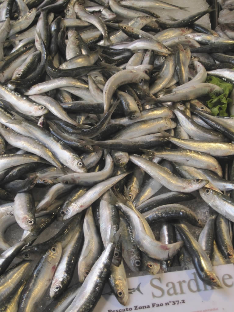 Should we eat more fish? - Eat Drink Live Well